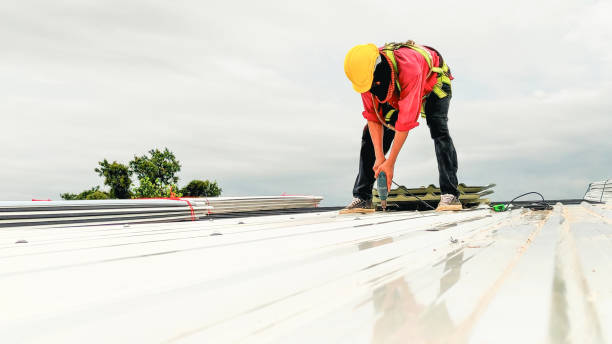 Best Sheet Metal Roofing  in Hodgenville, KY